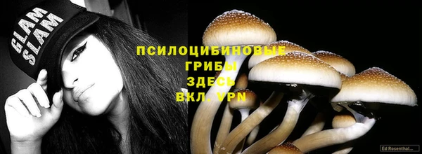 a pvp Алексин