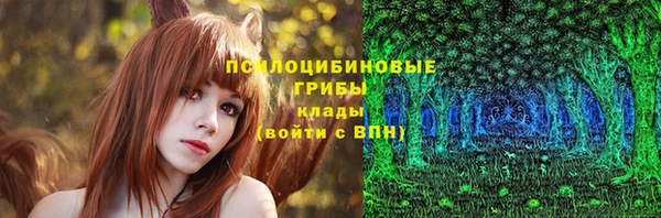 твердый Алзамай